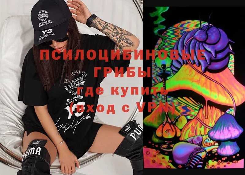 Псилоцибиновые грибы MAGIC MUSHROOMS Старый Оскол